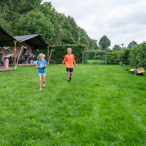 TENTE TOILE ET BOIS 6 personnes - y compris les toilettes