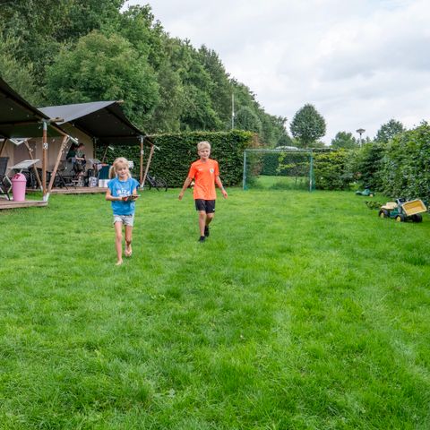 Tente en toile et en bois 6 personnes - y compris les toilettes