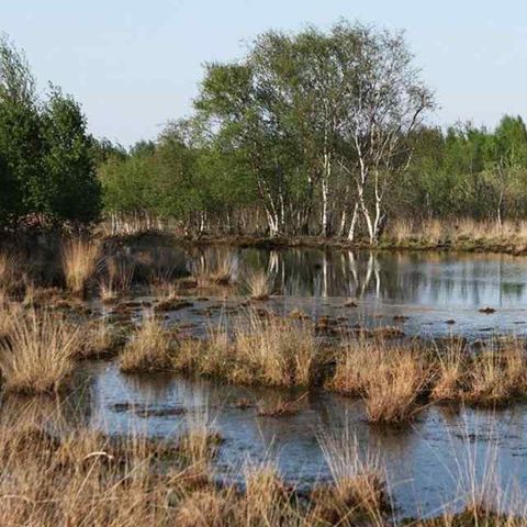 Vodatent Camping Emmen - Camping Emmen - Image N°6