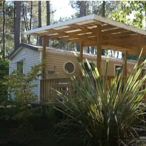 BUNGALOW 12 personnes - CONFORT TRIBU