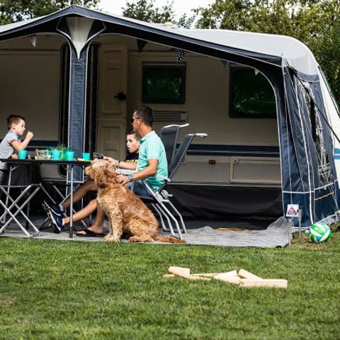 Emplacement - Emplacement confort M chien admis