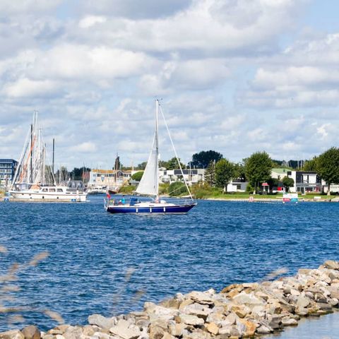 Roompot Harbour Village - Camping Middelburg - Image N°4