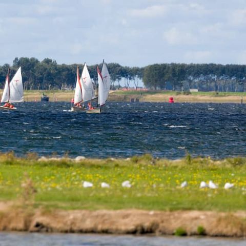 Roompot Harbour Village - Camping Middelburg - Image N°5