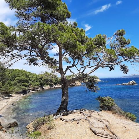 Club Belambra Presqu'ile de Giens - Riviera Beach - Camping Var - Image N°5