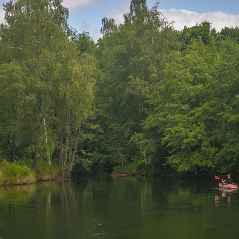 Landal  Klein Vink - Camping Arcen - Image N°3