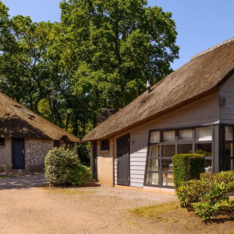 Dormio Park Scorleduyn - Camping Bergen - Image N°2