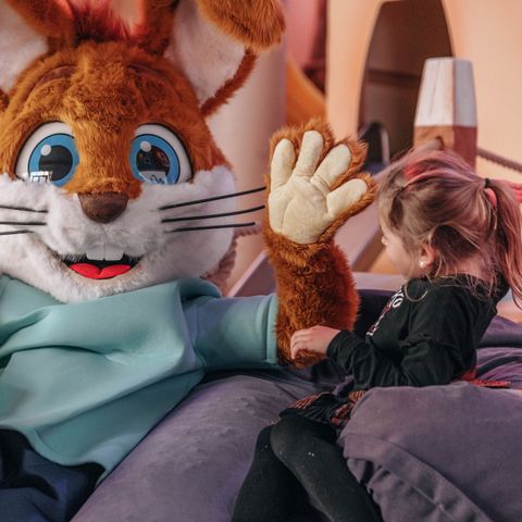 Landal De Soeten Haert - Camping Renesse - Image N°6