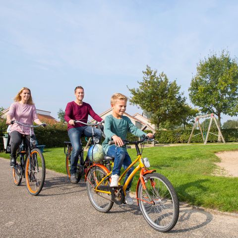 Landal De Soeten Haert - Camping Renesse - Image N°3