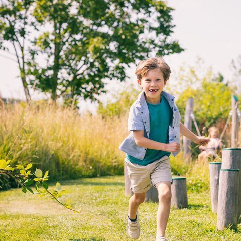 Summio Vakantiepark Zeedijk - Camping Goeree-Overflakkee - Image N°3