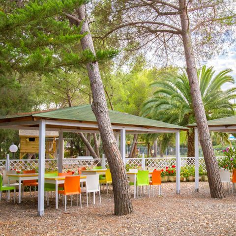 Camping Toscana Bella - Camping Livourne - Image N°6