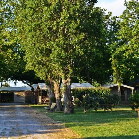 Camping ATC Routes du Monde La Hume - Camping Gironde - Image N°5