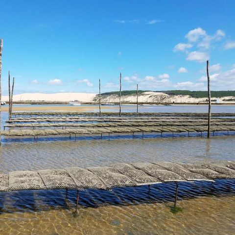 Camping ATC Routes du Monde La Hume - Camping Gironde - Image N°3