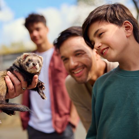 Center Parcs Le Bois aux Daims - Camping Vienne - Image N°5