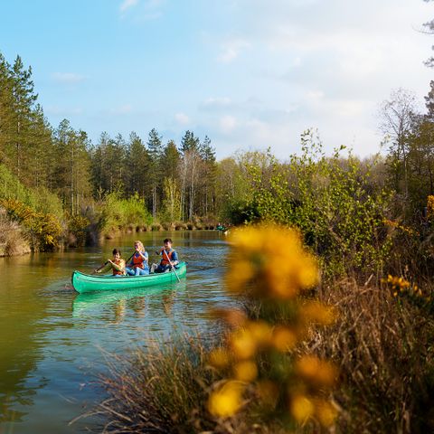 Center Parcs Le Bois aux Daims - Camping Vienne - Image N°3