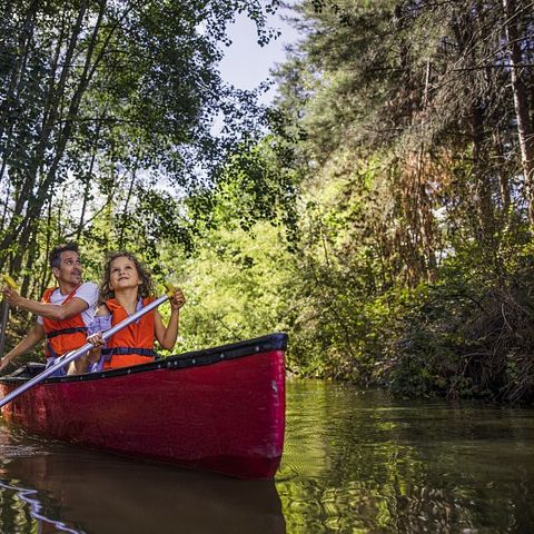 Center Parcs Les Hauts de Bruyères - Camping Loir-et-Cher - Image N°4
