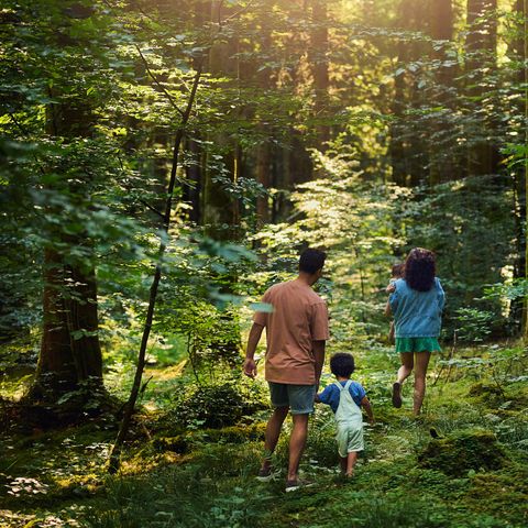 Center Parcs Les Trois Forêts - Camping Moselle - Image N°6