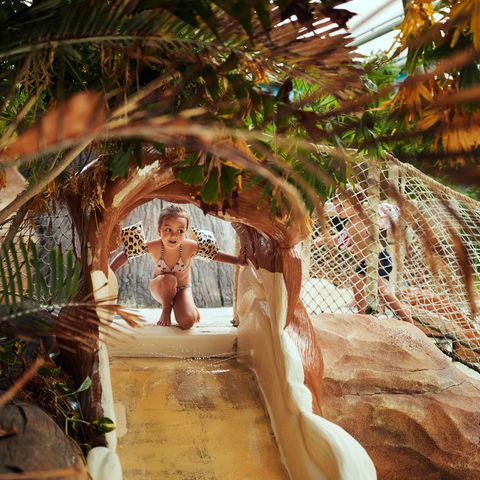 Center Parcs Le Lac d'Ailette - Camping Aisne - Image N°5