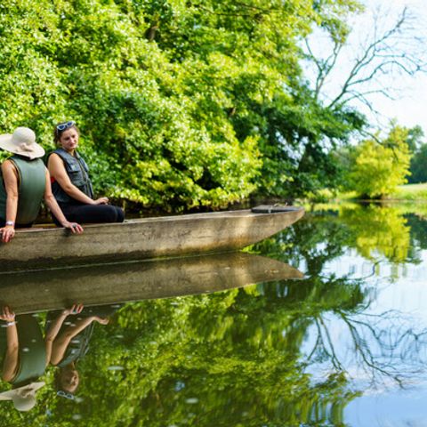 Camping Coeur d'Alsace - Camping Bas-Rhin - Image N°5