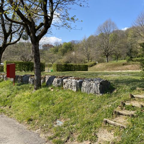 Camping Au Coeur des Vignes - Camping Jura - Image N°4