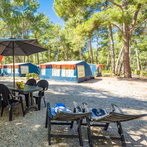 TENTE TOILE ET BOIS 6 personnes - Tente bungalow