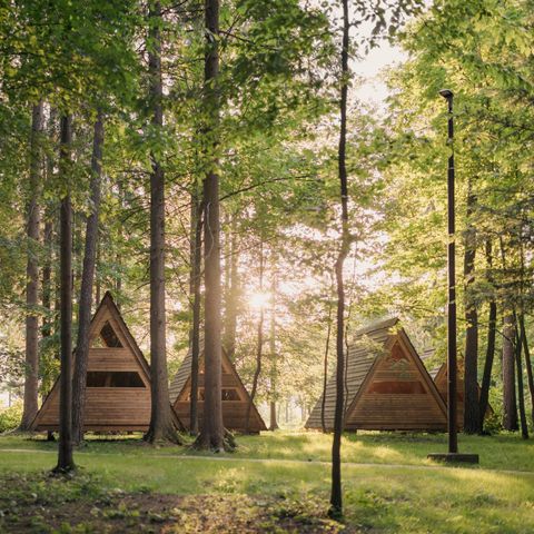 HÉBERGEMENT INSOLITE 3 personnes - Glamping Hut Forest Bed