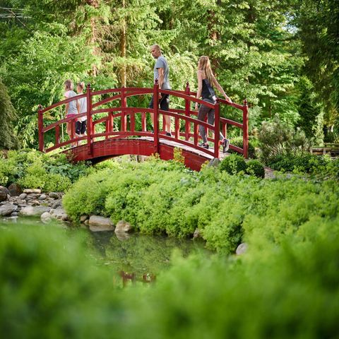 Forest Camping Mozirje - Camping Slovenie - Image N°2