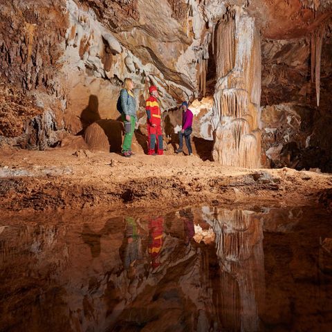 Forest Camping Mozirje - Camping Slovenie - Image N°5