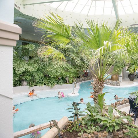 Center Parcs Port Zélande - Camping Goeree-Overflakkee - Image N°5