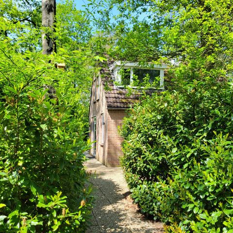 BUNGALOW 6 personnes - Tourterelle