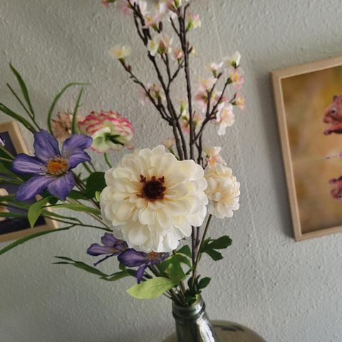 BUNGALOW 6 personnes - Tourterelle