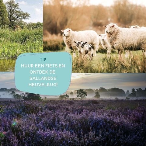 TENTE TOILE ET BOIS 5 personnes - Le barman