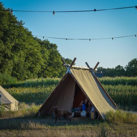 Hébergement pour groupe 32 personnes - 6x tente de luxe