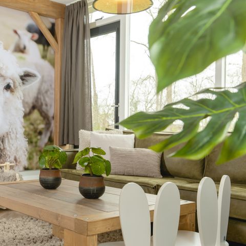 BUNGALOW 6 personnes - Bungalow pour enfants à la ferme avec sauna et bain à remous