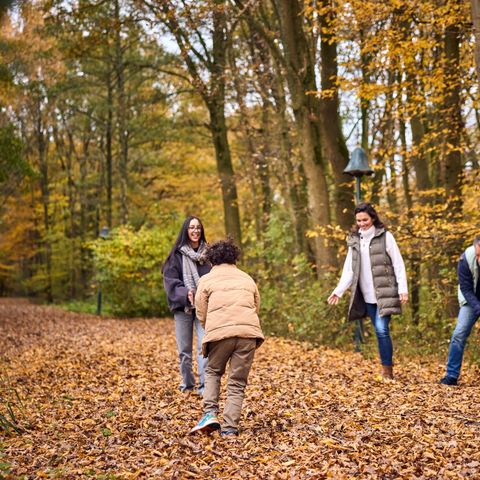 Center Parcs De Eemhof - Camping Zeewolde - Image N°4