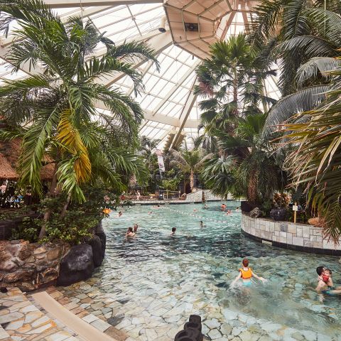 Center Parcs De Eemhof - Camping Zeewolde - Image N°5