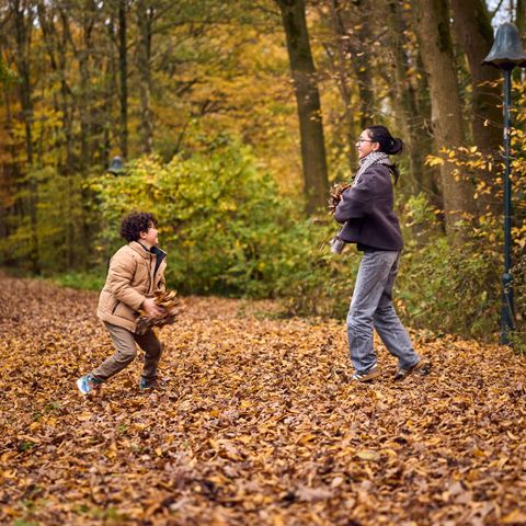 Center Parcs De Huttenheugte - Camping Coevorden - Image N°4