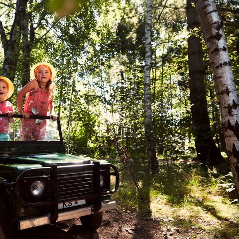 Center Parcs De Huttenheugte - Camping Coevorden - Image N°3