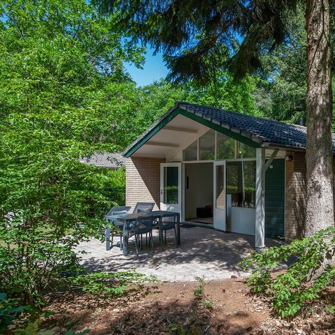 Landal Bospark De Schaapskooi - Camping Epe - Image N°2
