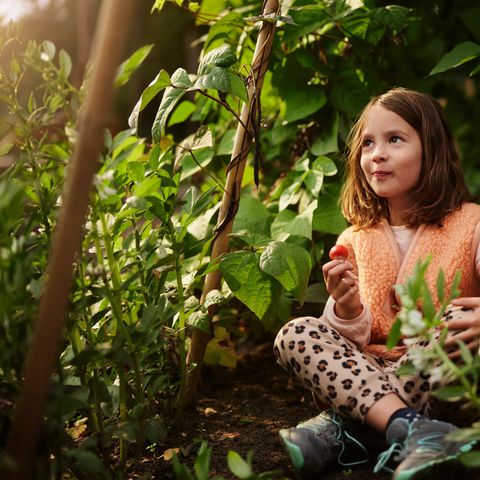 Center Parcs Het Meerdal - Camping Horst an der Maas - Image N°6