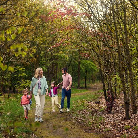 Center Parcs Het Meerdal - Camping Horst an der Maas - Image N°4