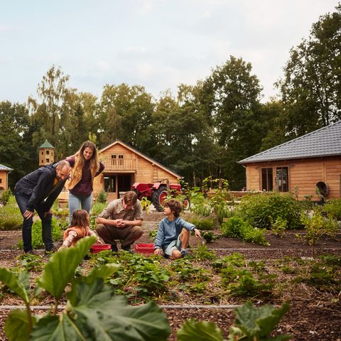 Center Parcs Het Meerdal - Camping Horst an der Maas - Image N°5