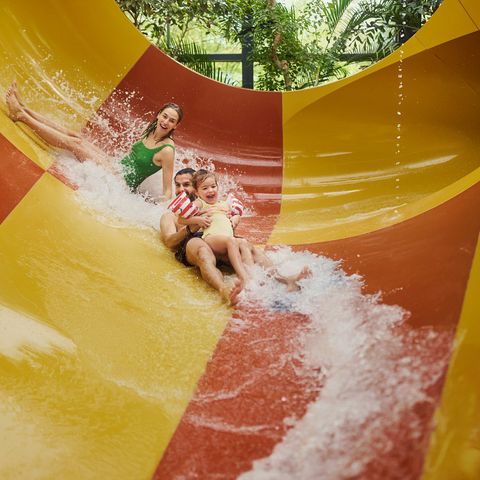 Center Parcs Het Meerdal - Camping Horst an der Maas - Image N°3