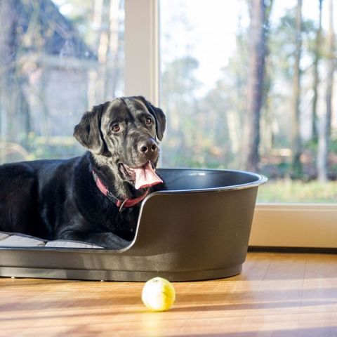 BUNGALOW 6 personnes - 6BD