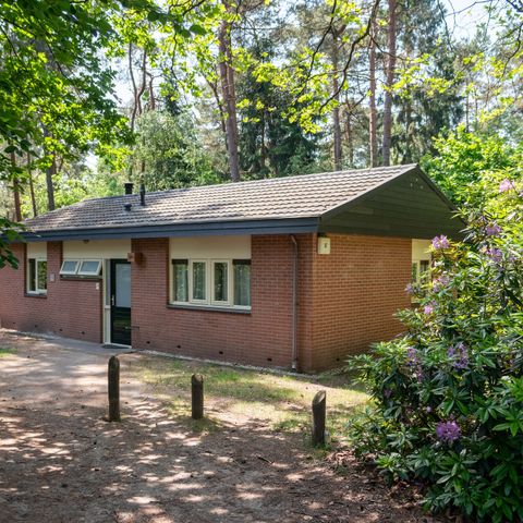 BUNGALOW 8 personnes - 8C