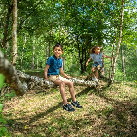 Landal Miggelenberg - Camping Apeldoorn - Image N°2