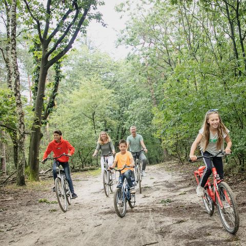 Landal Miggelenberg - Camping Apeldoorn - Image N°5