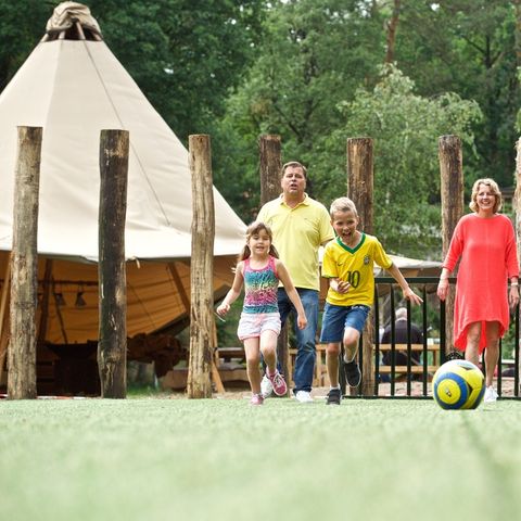 Landal Miggelenberg - Camping Apeldoorn - Image N°6