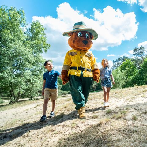 Landal Miggelenberg - Camping Apeldoorn - Image N°4