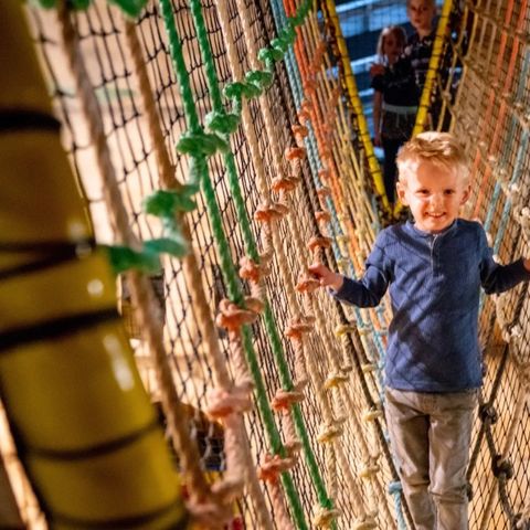 Landal Hoog Vaals - Camping Vaals - Image N°3