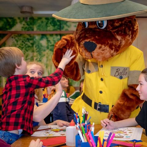 Landal Aelderholt - Camping Coevorden - Image N°5